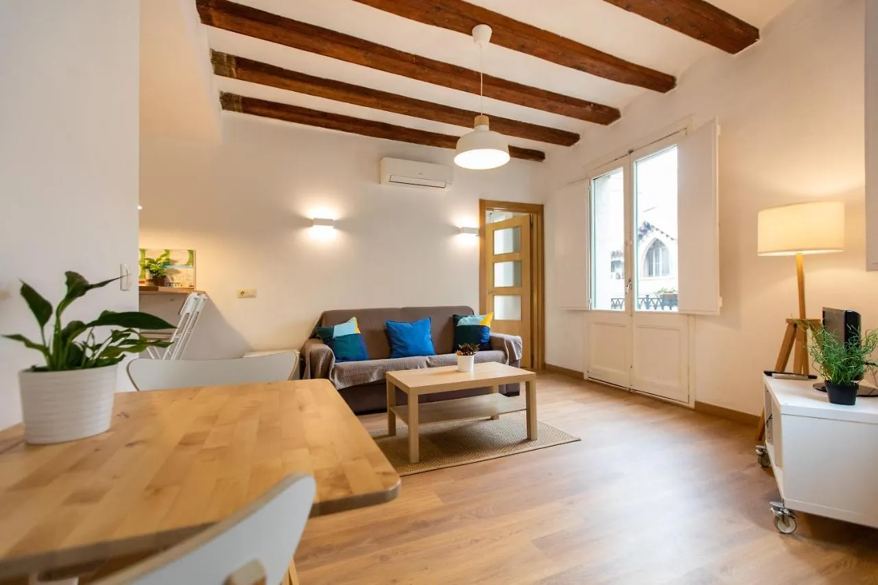 Ripoll Apartments Barcelone