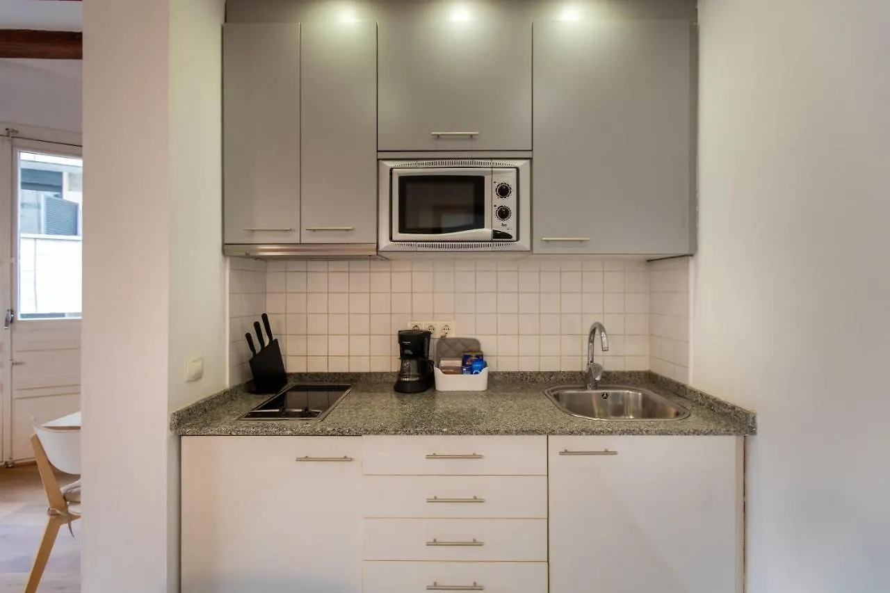 Ripoll Apartments Barcelone